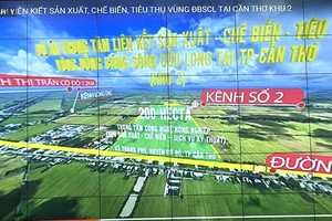 Vị trí quy hoạch Khu 2- Trung tâm liên kết, sản xuất, chế biến và tiêu thụ sản phẩm nông nghiệp vùng ĐBSCL tại TP. Cần Thơ