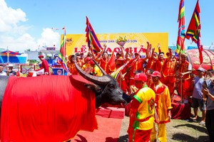 Hơn 20.000 du khách đến với Lễ hội chọi trâu Đồ Sơn năm 2023