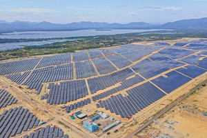 BCG là một trong những nhà đầu tư lớn trên thị trường điện năng lượng tái tạo 