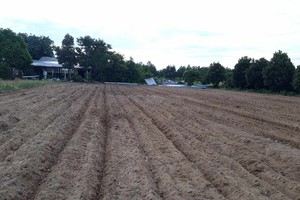 Dự án Trang trại sản xuất Rau - Quả an toàn ở huyện Tư Nghĩa, Quảng Ngãi. Ảnh chụp cuối năm 2018