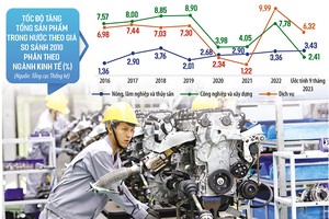 Việc hoạch định các giải pháp cơ cấu lại nền kinh tế đòi hỏi phải phân tích rõ quy mô của từng ngành, hiện trạng của từng lĩnh vực cụ thể. Ảnh: Đức Thanh. Đồ họa: Thanh Huyền 