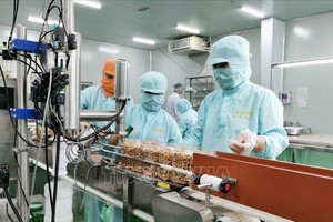 Đóng gói nhân điều xuất khẩu tại Công ty LAFOOCO. Ảnh minh họa: Minh Hưng/TTXVN