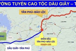 Minh hoạ hướng tuyến cao tốc Dầu Giây - Tân Phú.