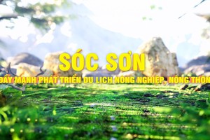 Sóc Sơn đẩy mạnh phát triển du lịch nông nghiệp, nông thôn