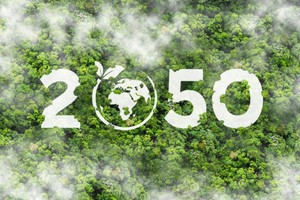 Việt Nam đặt mục tiêu phát thải ròng bằng 0 vào năm 2050. 