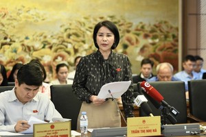 Đại biểu Trần Thị Nhị Hà phát biểu tại tổ. 