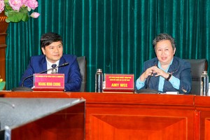 Ông Hoàng Minh Cường, Phó chủ tịch UBND TP. Hải Phòng và bà Amy Wee, Giám đốc Liên đoàn Doanh nghiệp Singapore tại Việt Nam tại buổi làm việc.