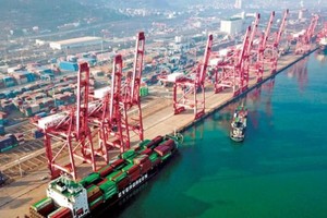 Kinh tế Việt Nam 2024: Triển vọng sáng hơn!