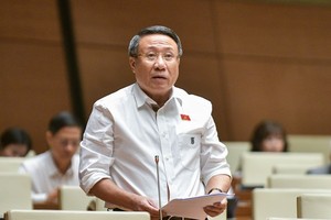 Đại biểu Hà Sỹ Đồng (Quảng Trị) tham gia thảo luận. 