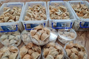 Doanh nghiệp tăng đầu tư đón cơ hội xuất khẩu tổ yến