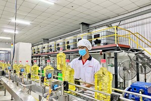 Các doanh nghiệp bắt đầu đẩy mạnh sản xuất hàng hóa phục vụ tiêu dùng cuối năm Ảnh: H.Sương