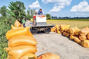 Thứ trưởng Bộ Nội vụ đã thành lập Hiệp hội Ngành hàng lúa gạo Việt Nam.