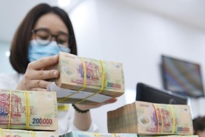 Lãi vay hiện hữu vẫn còn cao, lợi nhuận ngân hàng sẽ tăng 10% năm 2024