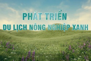 Phát triển nông nghiệp xanh, bền vững gắn với mô hình du lịch nông thôn 