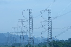 Thủ tướng yêu cầu đẩy nhanh tiến độ triển khai các dự án trọng điểm, cấp bách của ngành điện.