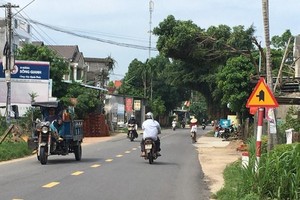 Một đoạn Quốc lộ 24B qua Quảng Ngãi.