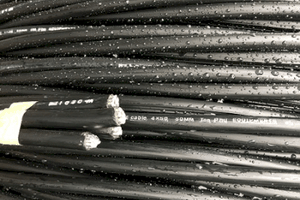 Doanh nghiệp Việt có thể nộp thư xin gia hạn thời gian trả lời bản câu hỏi tới DOC, nêu rõ lý do và đề xuất thời gian gia hạn.