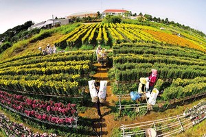 Festival hoa - kiểng Sa Đéc là dịp để quảng bá hình ảnh, con người Đồng Tháp với bạn bè, du khách