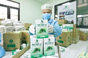 Đã xuất hiện “làn sóng ngược” của những người trẻ quyết tâm trở về quê hương khởi nghiệp nông nghiệp dựa trên những lợi thế sẵn có