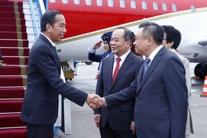 Chủ nhiệm Văn phòng Chủ tịch nước Lê Khánh Hải và Chủ tịch Ủy ban Nhân dân thành phố Hà Nội Trần Sỹ Thanh đón Tổng thống Indonesia Joko Widodo tại Sân bay Quốc tế Nội Bài. (Ảnh: An Đăng/TTXVN)