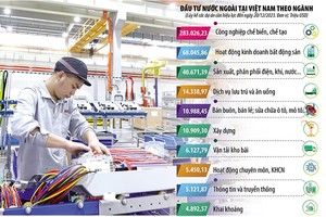 Nguồn vốn đầu tư nước ngoài luôn đóng vai trò quan trọng, thúc đẩy nhiều ngành, nhiều lĩnh vực kinh tế tại Việt Nam tăng trưởng. Ảnh: Đức Thanh. Đồ họa: Đan Nguyễn 