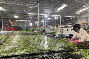 Xuất khẩu hàng hóa sang Trung Quốc tăng trưởng 6,4% trong năm 2023.