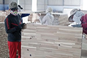 Ngành gỗ xuất khẩu đang gặp khó về đầu ra, đồng thời đối mặt với một số vấn đề liên quan sản xuất bền vững Ảnh: Đ.T