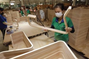 Có gì trong bức tranh đăng ký doanh nghiệp tháng đầu năm 2024