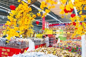 Hàng Tết đa dạng, nhu cầu mua sắm của người dân tăng mạnh.