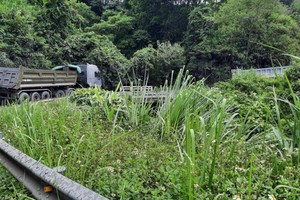 Một đoạn Quốc lộ 15D qua Quảng Trị