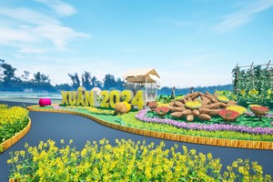 Rực rỡ đường hoa Home Hanoi Xuân 2024