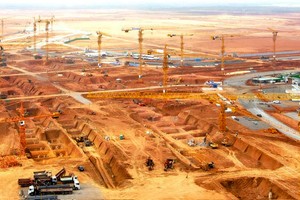 Ảnh minh hoạ: Lê Toàn