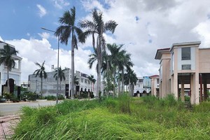 Những khu đất trống bên trong Dự án Golden Center City để cỏ dại mọc um tùm Ảnh: V.D