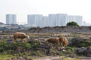 Định giá đất cần có hướng dẫn cụ thể hơn