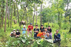 Du lịch sinh thái rừng thu hút nhiều lứa tuổi. Ảnh: Nature expedition