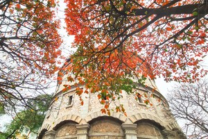 Hà Nội quyến rũ mùa cây thay lá 