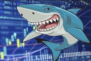 Vốn tiền tỷ, nhà đầu tư “cá mập” có yêu cầu như thế nào với công ty chứng khoán?