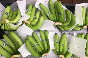 Việt Nam đã vượt qua Chile để trở thành nhà cung cấp rau quả tại thị trường tỷ dân.