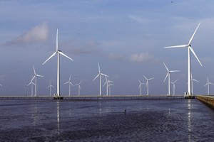 Việt Nam có tiềm năng lớn phát triển điện gió ngoài khơi. Trong ảnh, một dự án điện gió gần bờ. Ảnh: Đức Thanh