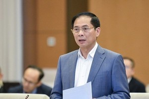 Bộ trưởng Bộ Ngoại giao Bùi Thanh Sơn chuẩn bị trả lời chất vấn.