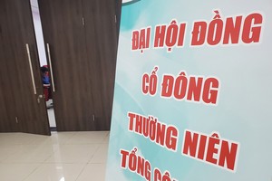 Đại hội cổ đông là dịp quan trọng để cổ đông, nhà đầu tư tìm hiểu về doanh nghiệp