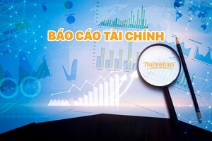 Năm 2023, Thaiholdings (THD) đạt lợi nhuận sau thuế hơn 220 tỷ đồng