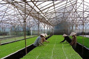 Giải ngân vốn đầu tư công vào nông nghiệp dự kiến tăng vọt trong tháng 4/2024