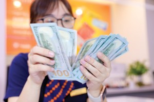 Ngân hàng Nhà nước đã có những động thái bình ổn thị trường ngoại hối từ cuối quý I/2024