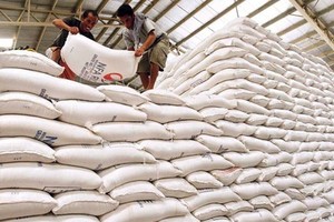Tổng cục Dự trữ Nhà nước lựa chọn nhà thầu thực hiện 196 gói thầu, mua 220.000 tấn gạo nhập kho dự trữ quốc gia.