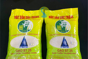 Gạo ST24, ST25 hiện chưa được hưởng ưu đãi thuế xuất khẩu sang EU theo cam kết trong EVFTA.