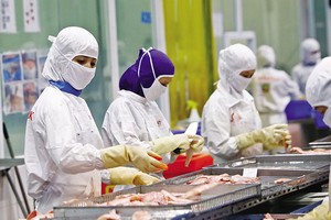 Chỉ số Năng lực cạnh tranh cấp tỉnh 2023 (PCI 2023): Trong khó khăn, doanh nghiệp đặt niềm tin vào chính quyền