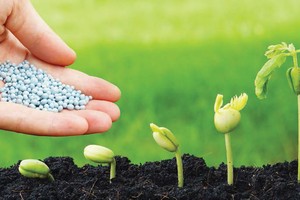 Doanh nghiệp phân bón ngóng chính sách mới