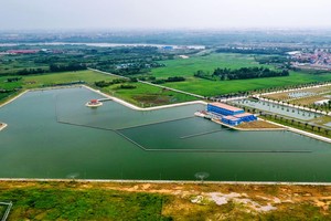 Ảnh minh hoạ. (Nguồn: Internet)