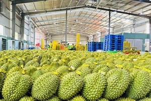 Rau quả là mặt hàng xuất khẩu có tỷ lệ sử dụng ưu đãi (theo C/O mẫu E và C/O mẫu RCEP) sang Trung Quốc rất cao.